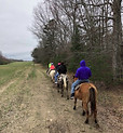 horseback-6-700x781.jpg